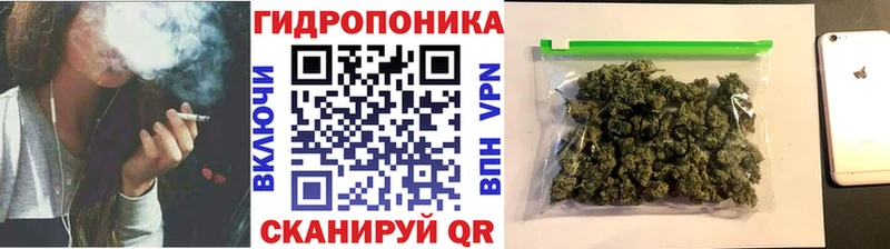 Какие есть наркотики Беломорск Марихуана  A PVP  АМФЕТАМИН  ГАШ  МЕФ  COCAIN 