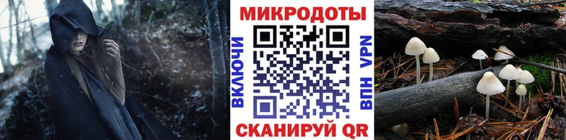 Псилоцибиновые грибы Cubensis  Беломорск 